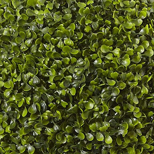 25ft Boxwood Topiary with Urn IndoorOutdoor