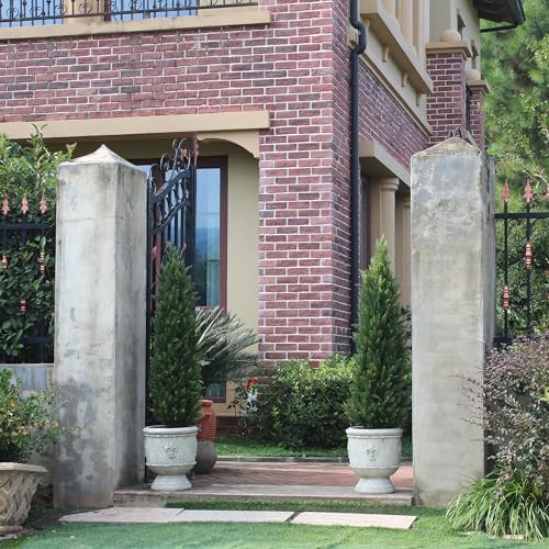 Two-Pack Fake Cedar Topiary Trees for Decor