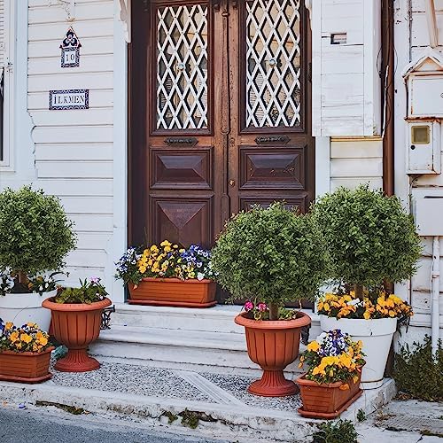 245 Artificial Boxwood Topiary Set of 1