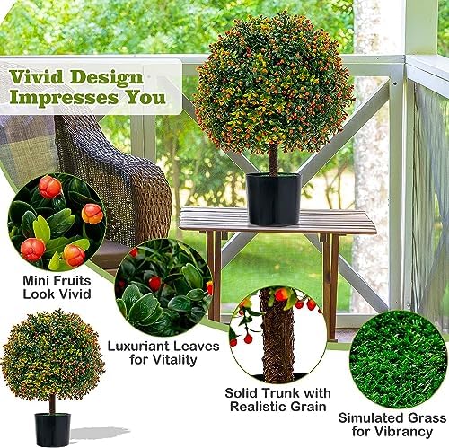 Safeplus 22 Boxwood Topiary Tree
