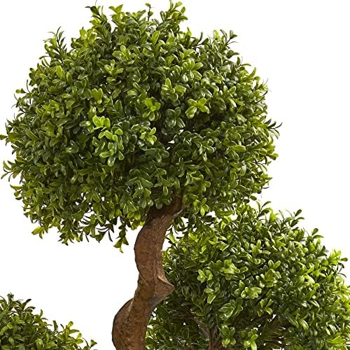 35 Boxwood Boxart Topiary