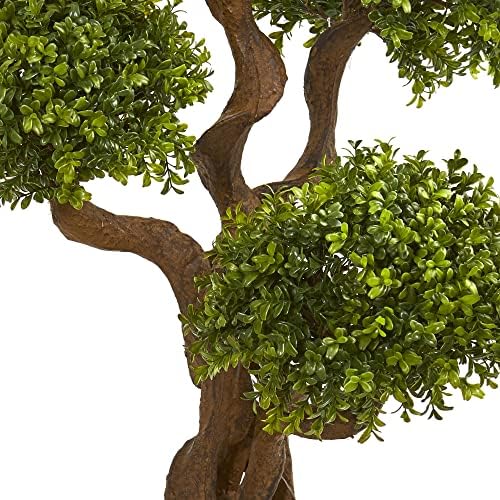 35 Boxwood Boxart Topiary