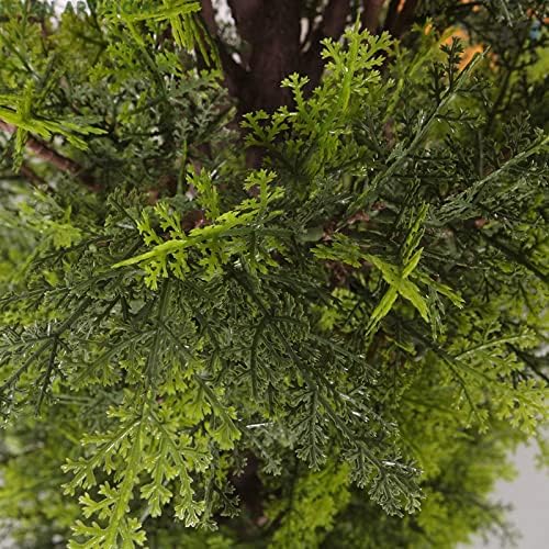 Elegant Outdoor Cedar Topiaries