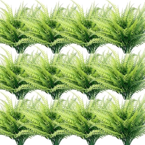Fresh Realistic Boston Fern Plant Bundle